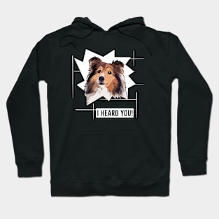 Funny Shetland Sheepdog I Heard You Hoodie